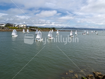 P class yachts heading out of the Ahuriri inlet to race in open water at Napier, New Zealand.