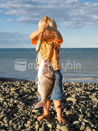 A young boy holds a freshly caught snapper from surfcasting at Haumoana Beach, Hawke's Bay, New Zealand