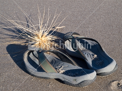 A pair of sandals and a seed head of the native dune grass Spinifex sericeus on clean sand. 