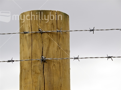 A security fence with barbed wire at the top