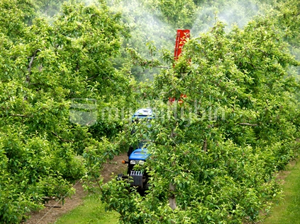 Orchard sprayer in operation among apple trees