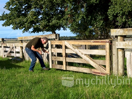Farmer attaching a latch to a yard gate he made himself.  