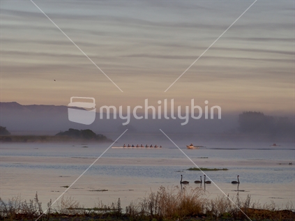 Rowers and their coach on the Clive River, Hawke's Bay early one misty morning.