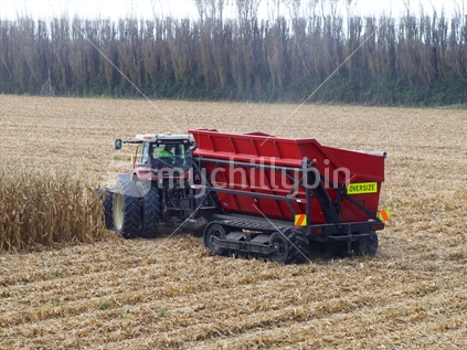 Tractor and hopper harvesting maize
