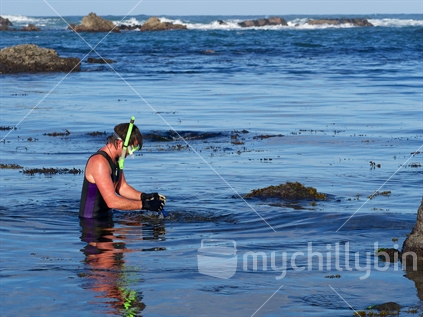 Man searching for paua near Cape Palliser 