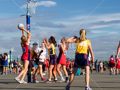 Netball players at the Hawke's Bay Sports Park, Hastings, New Zealand