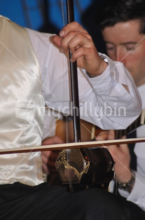 Detail of a man playing a chinese violin, the urhu, in a live performance in New Zealand.