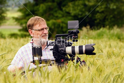 Cameraman at work in a wheat field