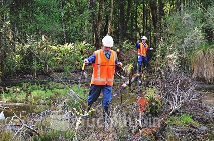 Men setting out cable across swampy ground for a seismic reflective survey