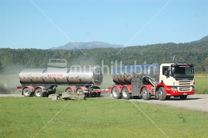 Westland Milk Products tanker arriving to collect milk from a Westland dairy farm - New Zealand.