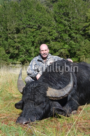 Successful hunter with buffalo shot on a NZ game reserve