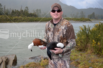 Successful duck hunters with a pair of Paradise ducks on the West Coast