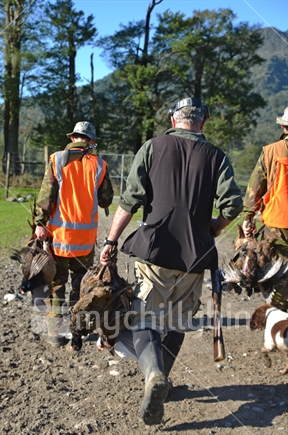 A group of friends return from their pheasant hunt with plenty of game on the West Coast of New Zealand