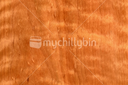 Background of wood grain from tawhai raunui, New Zealand Red Beech, Nothofagus fusca