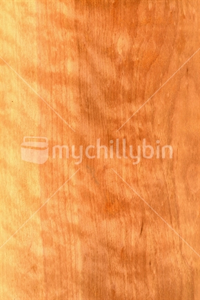 Background of native New Zealand timber, tawhai raunui or Red Beech, Nothofagus fusca