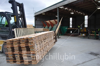Forklift carries a load of milled timber at a sawmill