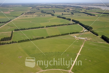 Aerial of circular Canterbury dairy farm, South Island