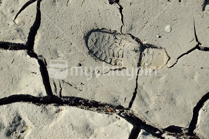 Farmer's bootprint in dried and cracked mudpan.