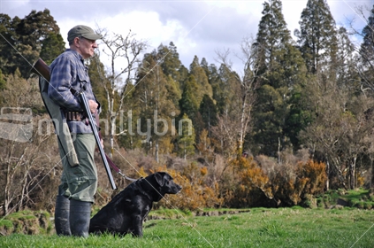 Hunter and dog going after ducks, West Coast, South Island