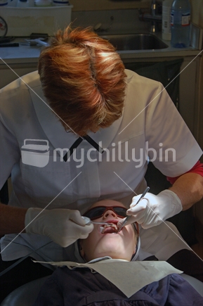 School dental nurse at work on a girl's tooth. Free dental care is provided for all children in New Zealand. On the West Coast the nurses work in a portable dental surgery.