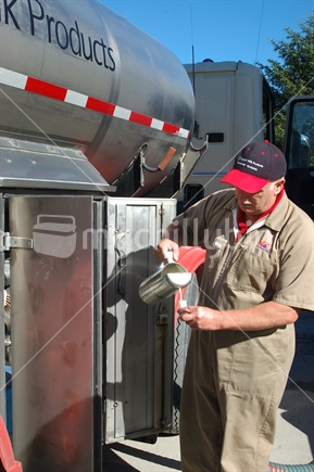 Milk tanker driver takes milk sample while picking up milk at a West Coast dairy farm, South Island