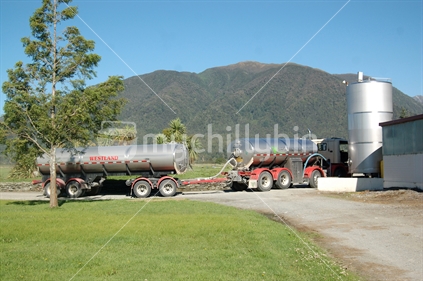 Westland Milk Products tanker picking up milk at a West Coast dairy farm, South Island