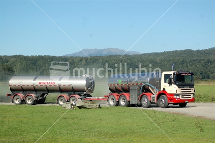 Westland Milk tanker en route to a West Coast dairy farm, South Island