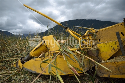 Detail of cutters on combine harvester as farmers harvest a crop of maize for silage on a dairy farm in Westland, New Zealand