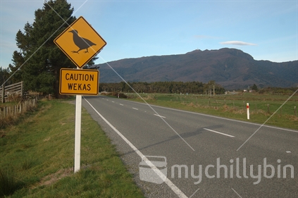 Warning sign for wekas near Westport, West Coast, South Island, New Zealand