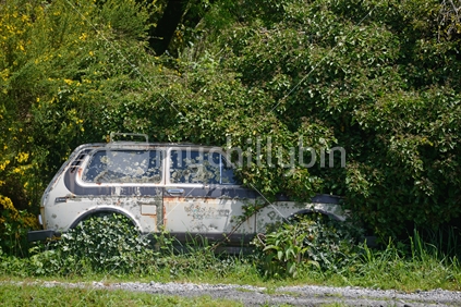Abandoned vehicle gets overgrown in the garden