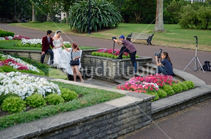 A team of photographers document a couple's wedding day in Albert Park
