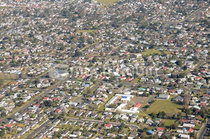 Suburban buildings in South Auckland