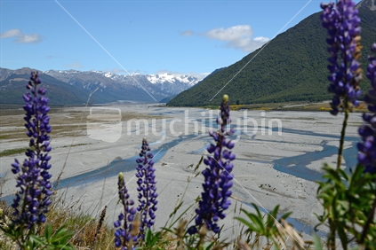 The broad valley of the Waimakariri River starts in Westland and ends in Canterbury, South Island,  New Zealand.
