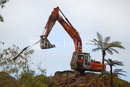 A digger repositions the large pulley at the end of a hauler line at a logging site