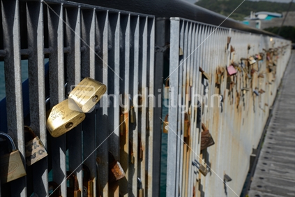 Love padlocks adorn a footbridge near Te Papa museum in Wellington. The padlocks symbolise a couple's enduring love.