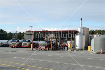 Drivers wash down milk tankers at the Westland Milk Products factory in Hokitika, New Zealand.