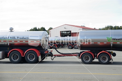 Milk tankers parked up at the Westland Milk Products factory in Hokitika, New Zealand.