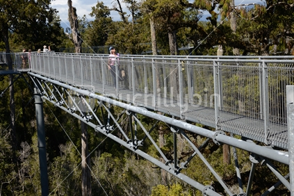 Visitors enjoy the view of temperate rainforest and the mountains from the 20m high Treetops Walk near Hokitika.