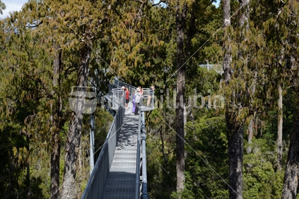 Visitors enjoy the view of temperate rainforest and the mountains from the 20m high viewing platform on the Treetops Walk near Hokitika.