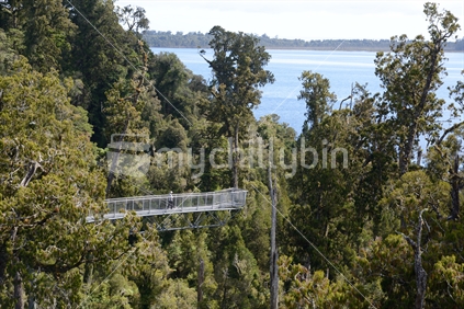Visitors enjoy the view of temperate rainforest and the mountains from the cantilevered platform on the Treetops Walk near Hokitika.