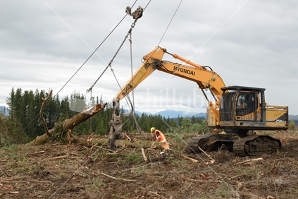 A forestry worker frees the chain from a log at a logging site.