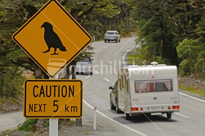 Traffic passes through the danger area for kea (Nestor notabilis), native alpine parrots, in Arthur's Pass National Park, Westland, New Zealand