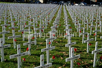 A field of crosses represents those who died in the Great War for a memorial on Anzac Day in Christchurch, New Zealand, 2018