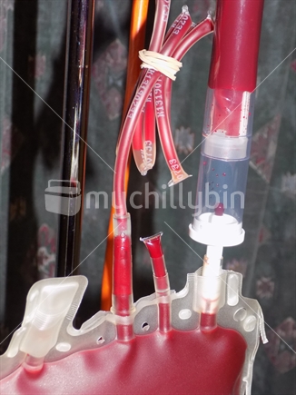 Detail of a bag set up for a blood transfusion
