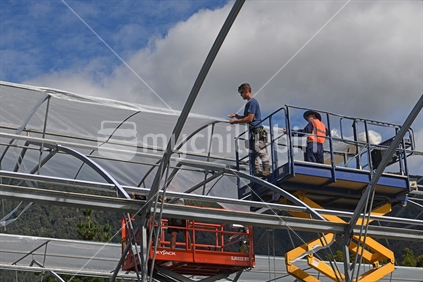.GREYMOUTH, NEW ZEALAND, DECEMBER 12, 2018: Tradesmen secure the plastic on a new tunnel house.