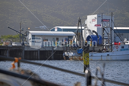 GREYMOUTH, NEW ZEALAND, DECEMBER 14, 2018: Staff at a fishing company process the catch from a vessel that's just arrived in port