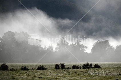 A light mist rolls across a West Coast farm in the early morning