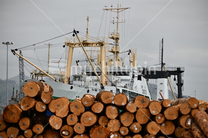 LYTTLETON, NEW ZEALAND, NOVEMBER 21, 2019: Pinus radiata logs awaiting export line the wharf at Lyttleton harbour. (Focus freighter) 