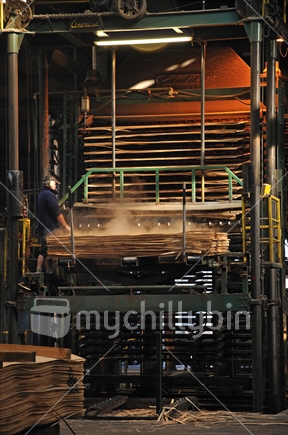 Steam press compressing layers of veneer into plywood at IPL plywood factory, Greymouth, West Coast