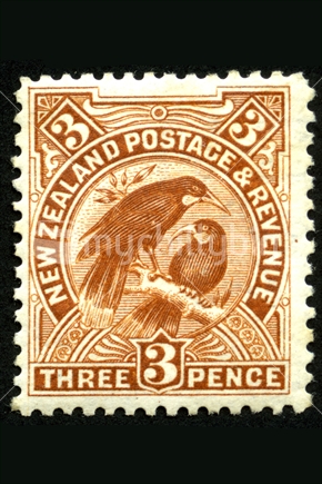1907 New Zealand three pence pictorial stamp featuring a pair of huias, now extinct